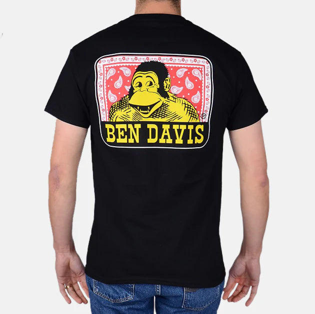 Load image into Gallery viewer, Ben Davis S/S Paisley Logo Tee - Black - Back
