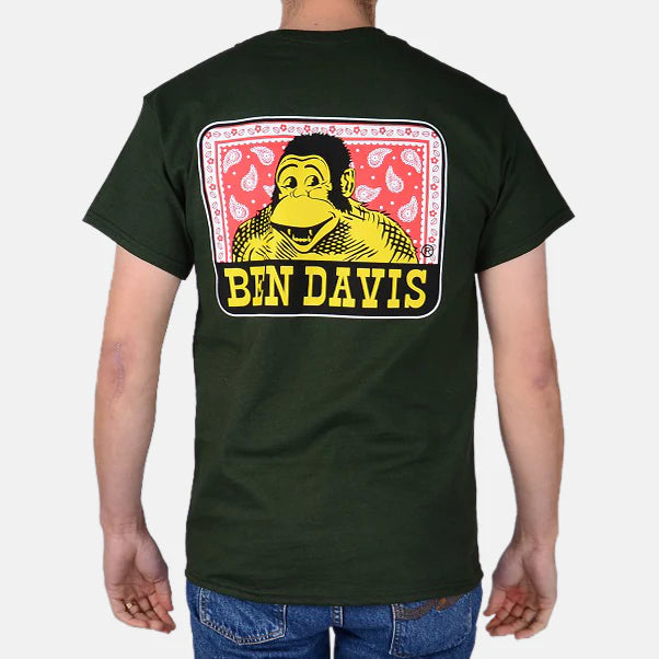 Load image into Gallery viewer, Ben Davis S/S Paisley Logo Tee - Green - Back
