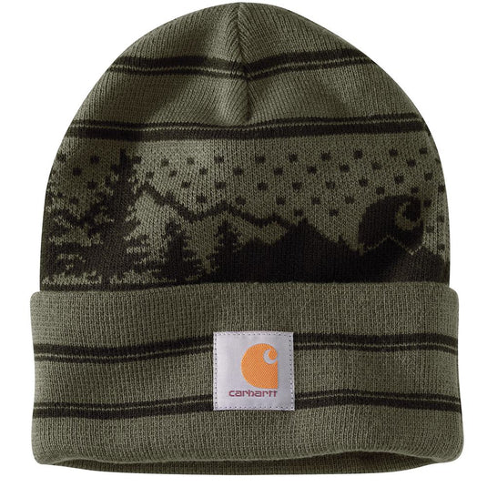 Green knit beanie and black graphics with Carhartt logo on a white background