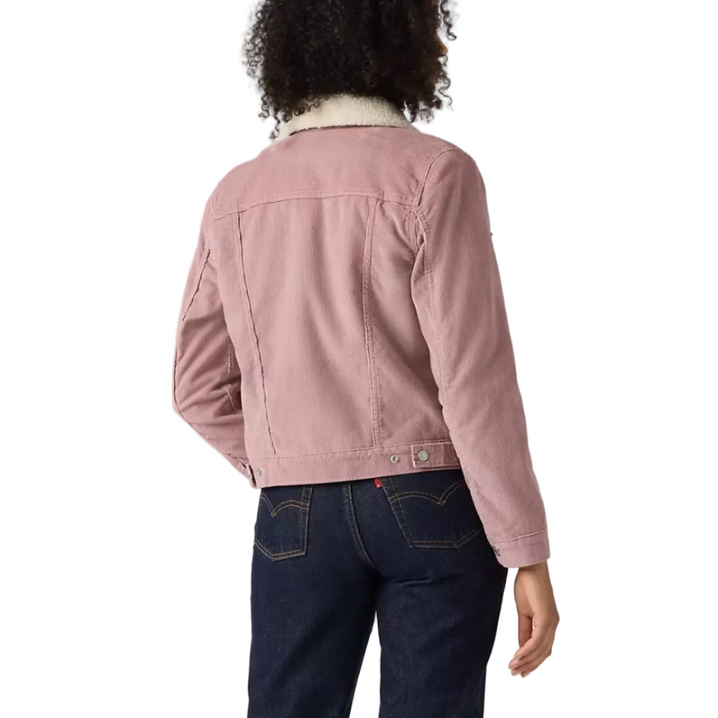 Load image into Gallery viewer, A person shown from the back wearing a dusty pink corduroy jacket with a white collar and dark blue jeans, photographed against a white studio background.
