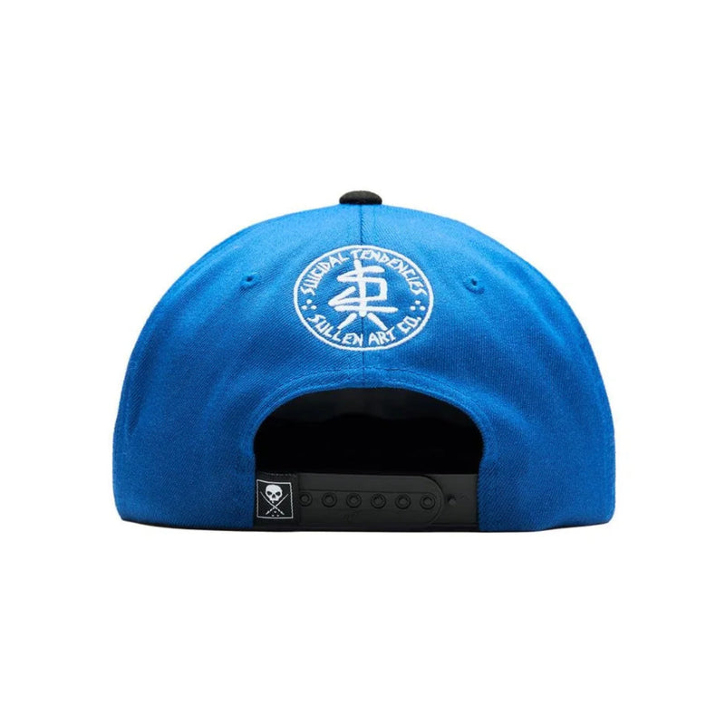 Load image into Gallery viewer, A bright blue baseball cap shown from the back, featuring a circular white embroidered logo on the center of the crown and an adjustable black snapback closure.

